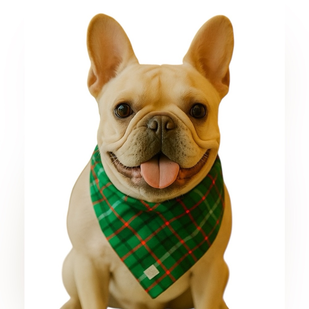Lands' End Green Plaid Cotton Dog Bandana Scarf Size Medium Holiday Puppy New